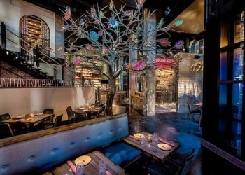 Ronald Reagan Food Court Guide： Best Dining Spots in Washington DC