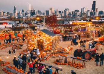 Explore Indoor Attractions Near Me： Great Ideas for Every Weather