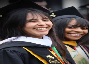 How Brandi Connell and Money Management International Can Transform Your Finances