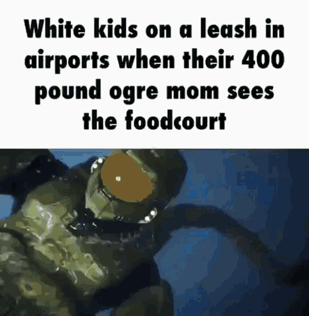 Halo Ogre Mom Food Court Meme: The Viral Internet Sensation Explained