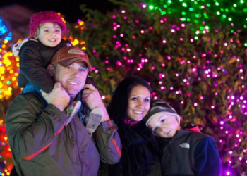 Can You Take Your Own Food into Point Defiance Zoo？ Visitor Tips