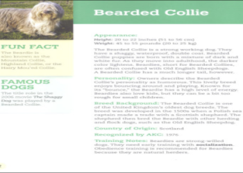 Canine Encyclopedia： Your Guide to Dog Breeds, Traits & Training