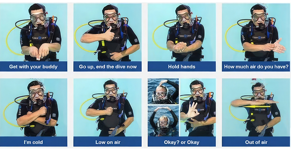 A Complete Guide to SCUBA Acronyms and Their Meanings