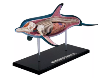 Top Ocean-Themed Gifts for Children Who Adore Aquariums