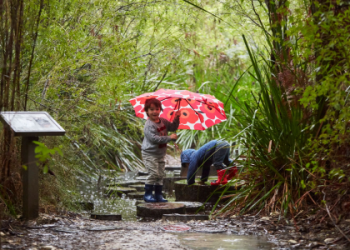 Discover Exciting Indoor Activities for Kids Near Me: Perfect for Rainy Days