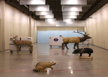 Top Indoor Archery Ranges Near You: Perfect for Training and Fun