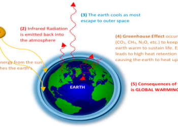 The Encyclopedia of the Nations: In-Depth Insights on 193 Countries and Global Regions