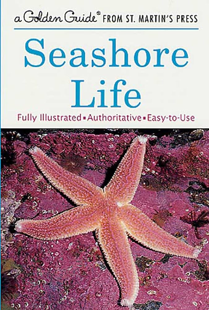 Seashore Life Unveiled: A Complete Guide to Coastal Habitats and Species