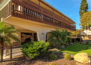 Lily Adult Day Healthcare: Quality Care for Seniors in Los Angeles