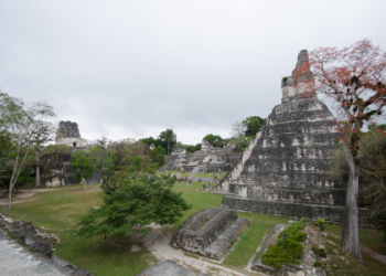 Exploring Mayan Civilization Through Primary Sources: From Stelae to the Dresden Codex
