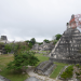 Exploring Mayan Civilization Through Primary Sources: From Stelae to the Dresden Codex