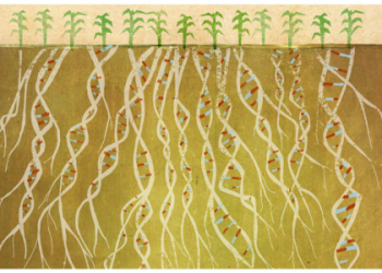 How the African Regional Plant Tissue Culture Organization is Shaping Agricultural Innovation