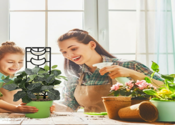 DIY Indoor Plant Trellis: Budget-Friendly Solutions for Your Greenery