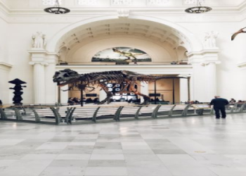 Top Indoor Activities for Toddlers in Chicago, IL: Fun All Year Round