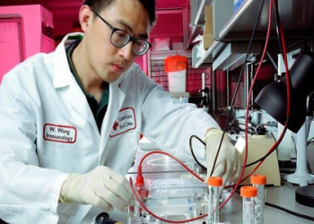 CrossMed Healthcare Careers: Internal Job Openings and Opportunities