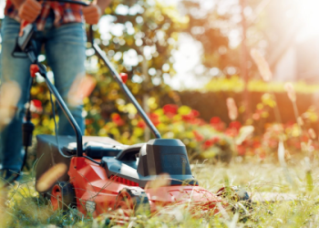 How Large Lawn Care Business Owners Generate Revenue and Profit from Mowing Services