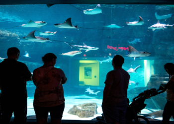 Top Indoor Spots in Gatlinburg for Teens: Beat the Boredom