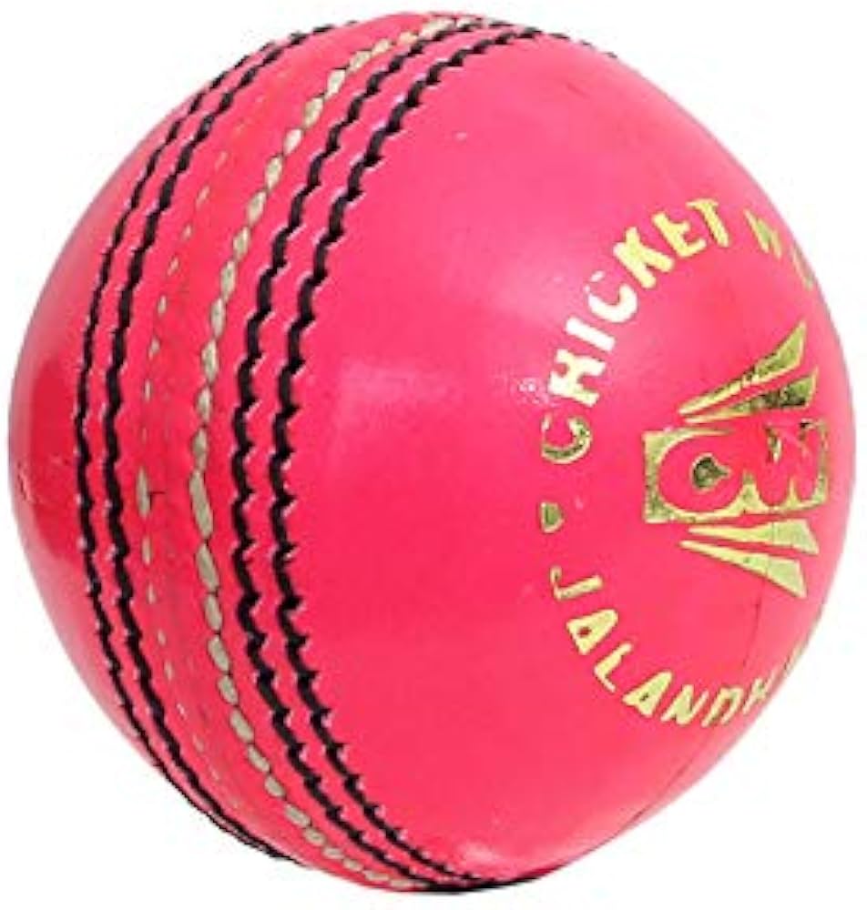 Durable CW Indoor Leather Cricket Balls (Pack of 12) - Perfect for Indoor Practice