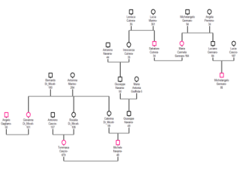 Bay Street Money Pedigree Analysis: Bloodline, Performance & Legacy