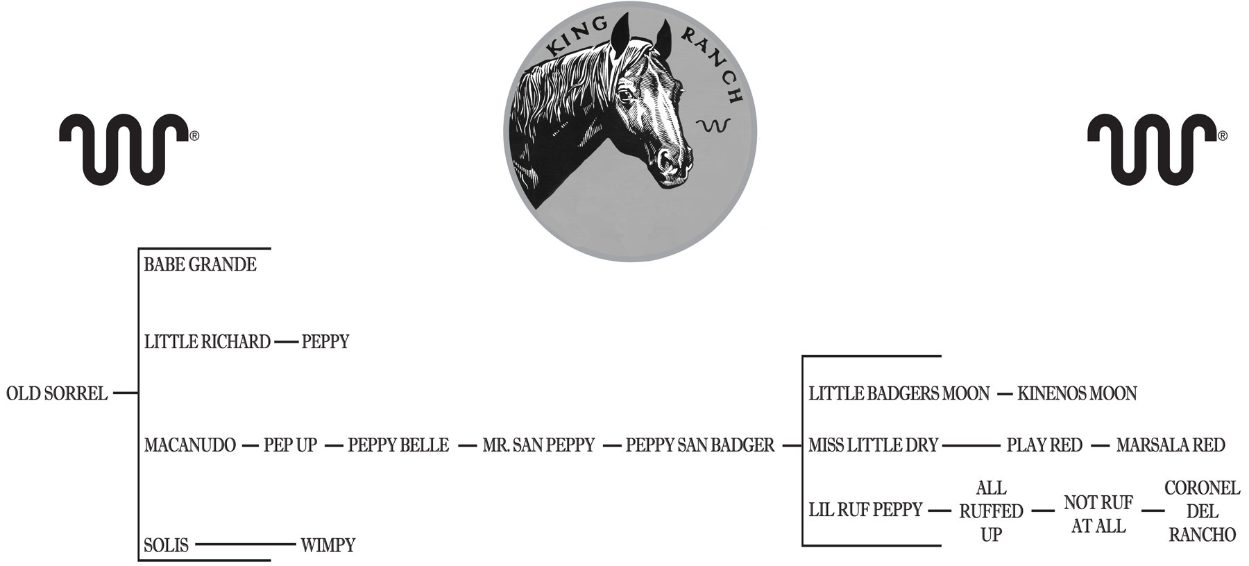 Bay Street Money Pedigree Analysis: Bloodline, Performance & Legacy