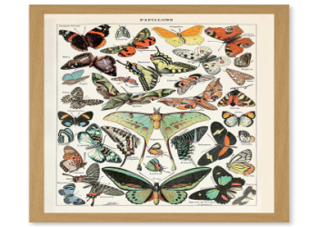 encyclopedia vintage