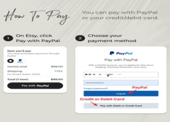 Surroundead Money Code Explained: Tips for Earning Credits in SurrounDead