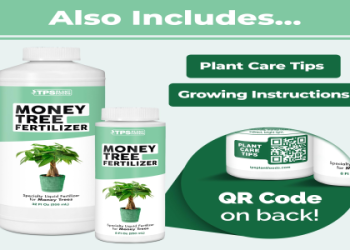 The Ultimate Guide to Fertilizing Your Money Tree for Optimal Health