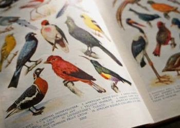 Discover the Best Modern Encyclopedia Platform for Comprehensive Information