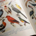 Discover the Best Modern Encyclopedia Platform for Comprehensive Information