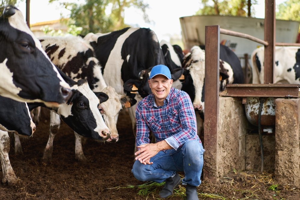Raising Cattle Indoors: Best Practices for Healthy Growth and Welfare