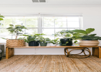 Indoor Wood Bench Ideas to Spruce Up Your Interior Design