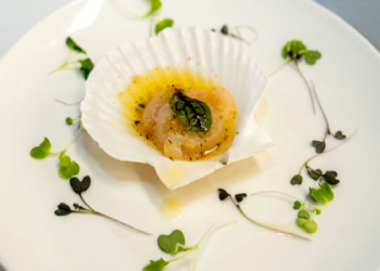 One Niagara Food Court and Shopping Center: A Great Place to Eat and Shop?