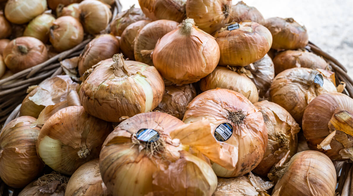 The Vidalia Onion Economy: How Much Money Is Generated in Georgia?