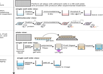 Quick Guide: Finding the Right Minimum Volume for Cell Culture Reservoirs