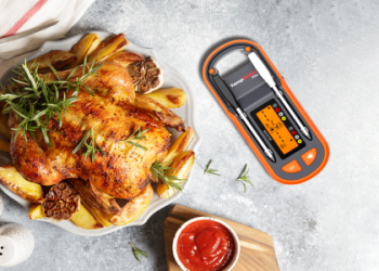 Unsure Which Thermometer to Buy? Heres the Best Indoor Outdoor Thermometer