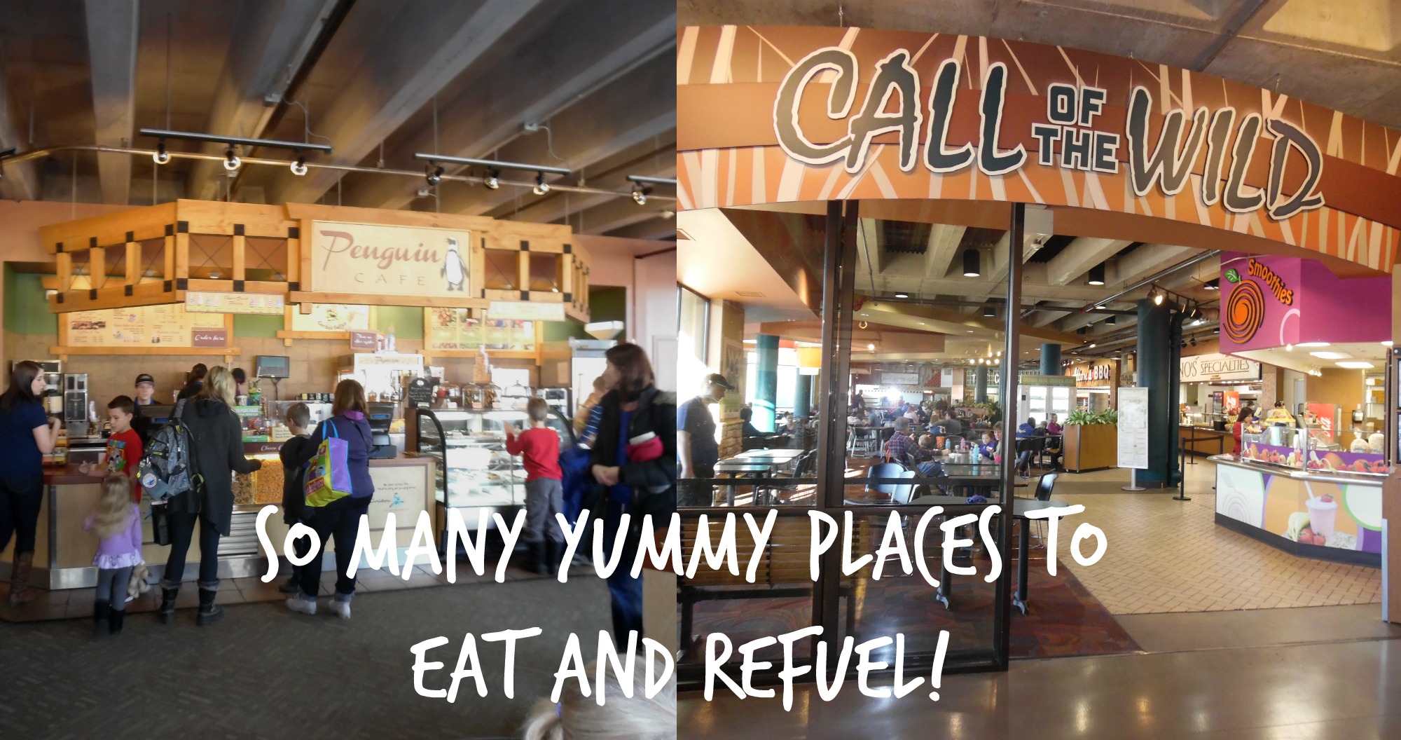 Minnesota Zoo Food Court: Whats Good to Eat and Whats Not So Great?