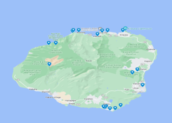 Paina Lanai Food Court Guide: Best Eats and What to Expect on Your First Visit Here