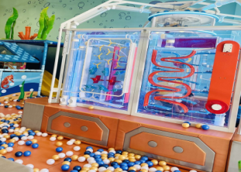 Adults Indoor Play Area Near Me? Find One Today