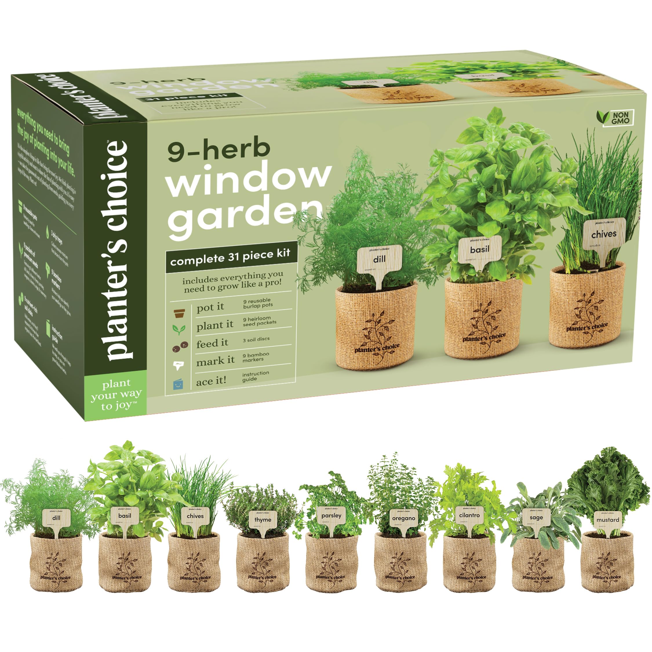 Unique Indoor Houseplant Seeds: Grow Flowers and Herbs at Home