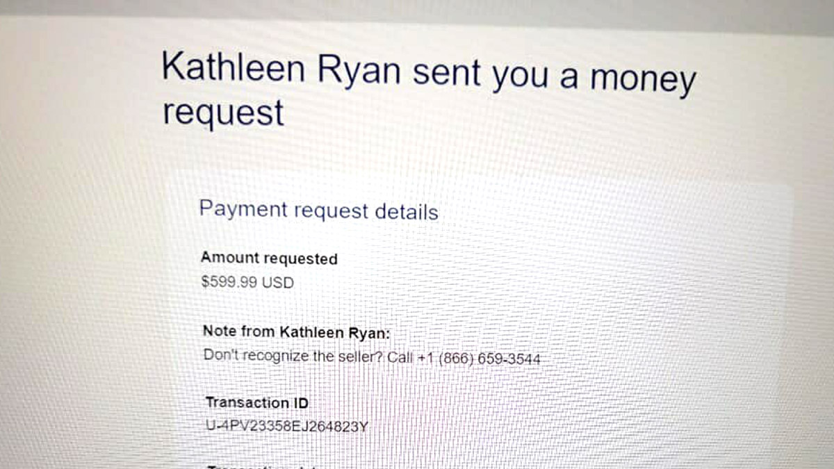Dealing with a Money Request from Kathleen Ryan? Heres Your Guide!