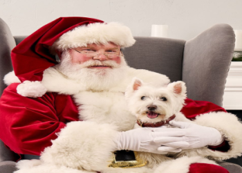 Food Court Augusta Mall: Best Bites and Where to Find Them