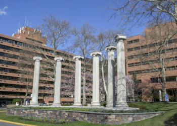 Albert Einstein Healthcare Network Jobs: Find Your Career Today