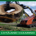 Make Money Clearing Trees on Your Michigan Property: Tips & Tricks