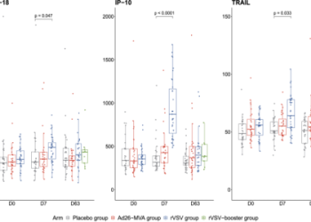 All About Linga Knowledge Base Your Questions Answered