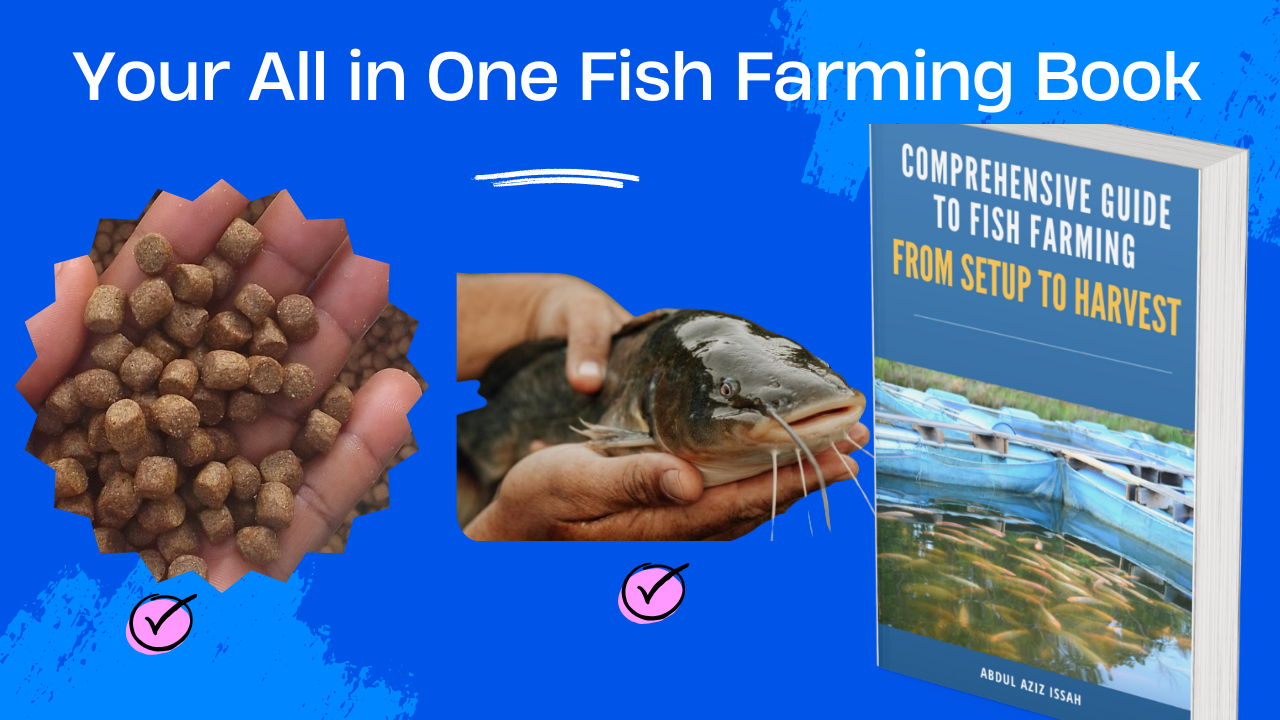 Aqua Culture 071013: Tips and Tricks for Successful Farming
