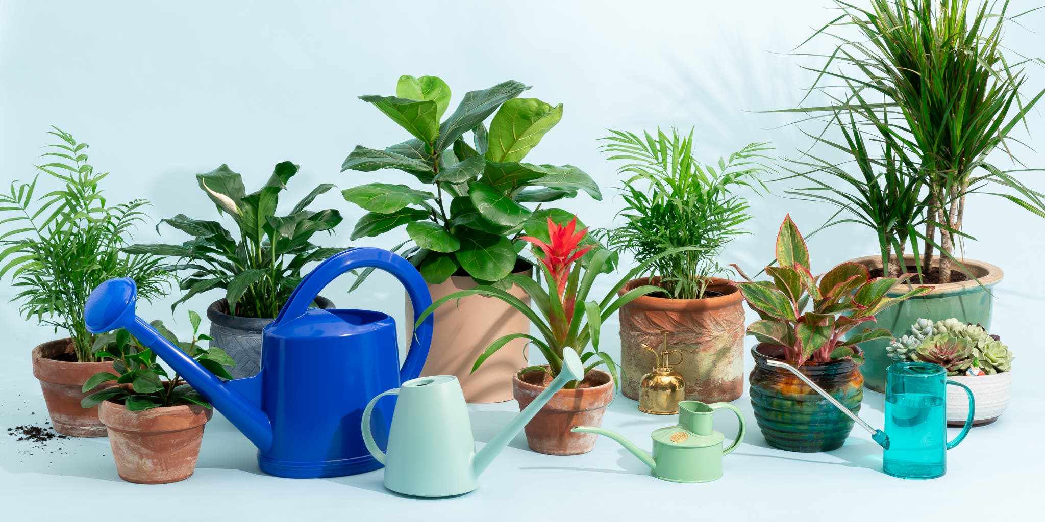 Best indoor plant waterer: Top picks to keep your plants hydrated!