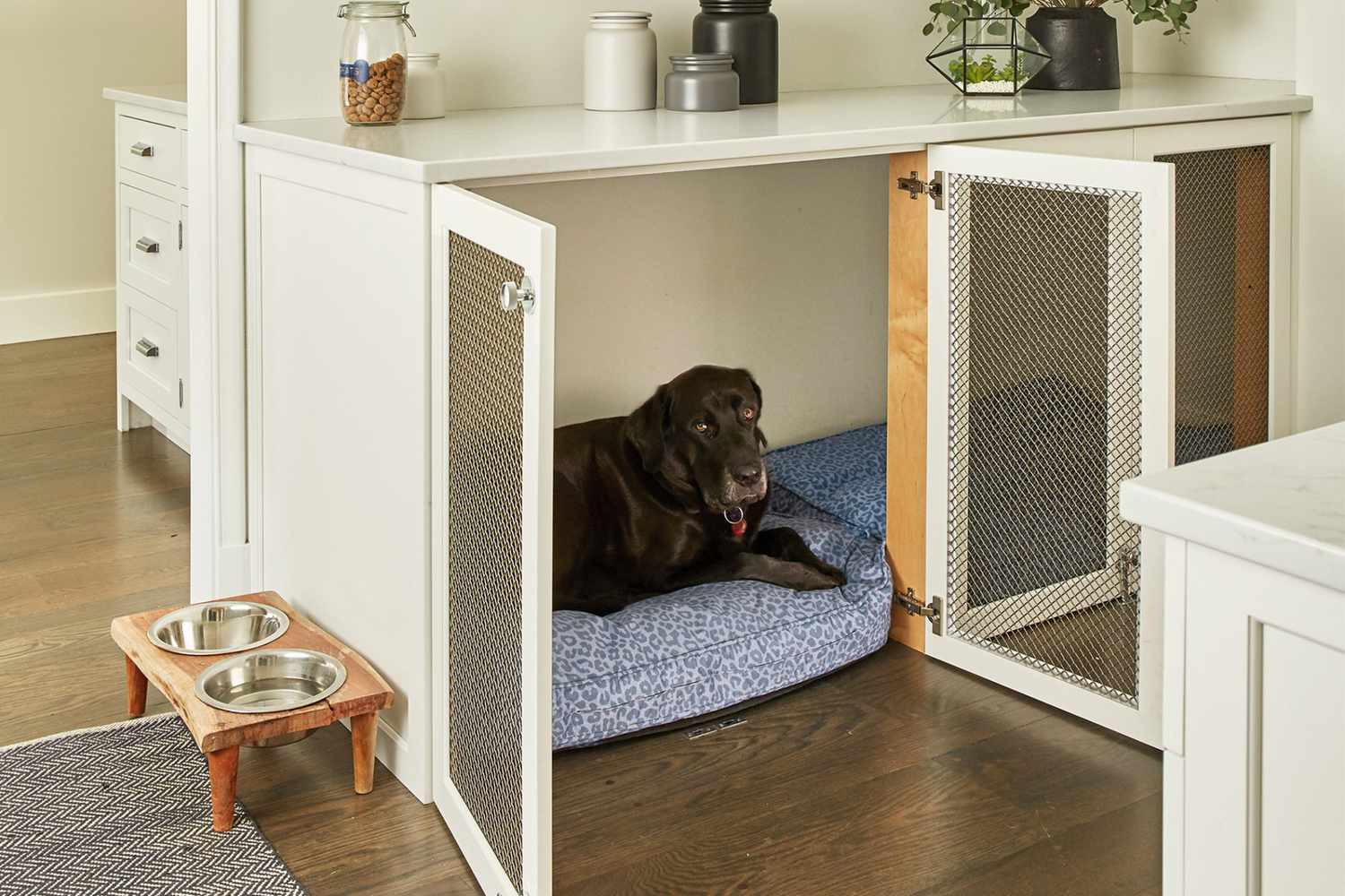 Dog Kennels Indoor: Tips for Keeping Your Dog Happy and Safe