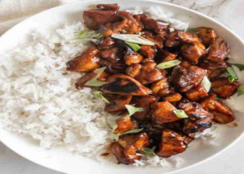Best Bourbon Chicken at the Mall Food Court: A Delicious Review