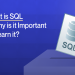 Knowledge Base SQL: Learn the Basics and Get Started Today (Simple Guide)