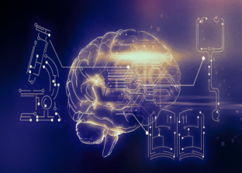 Exploring the Progress Knowledge Base: A User-Friendly Resource